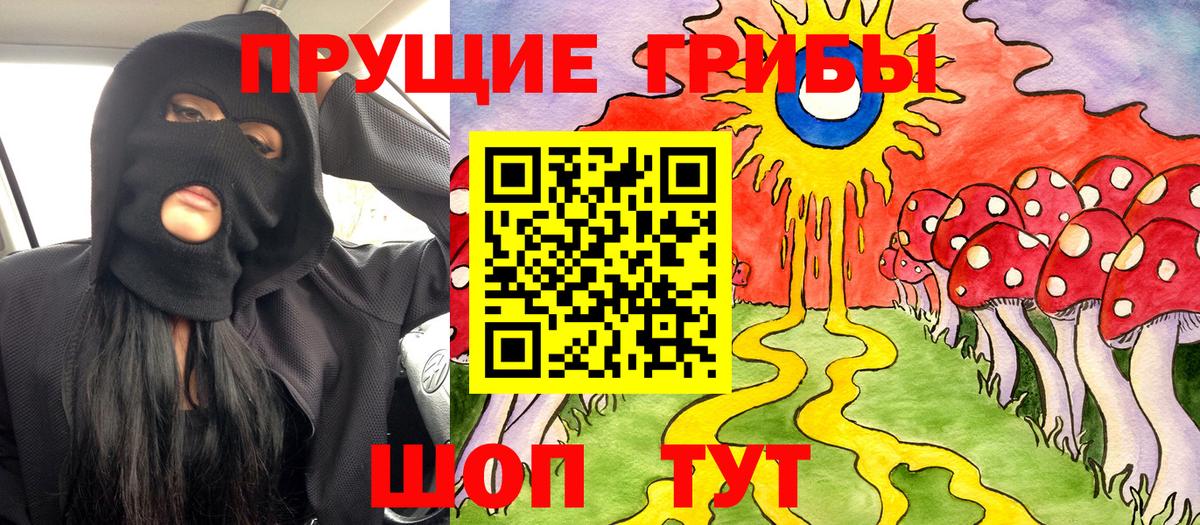 Псилоцибиновые грибы GOLDEN TEACHER  Вход с VPN  Кандалакша 