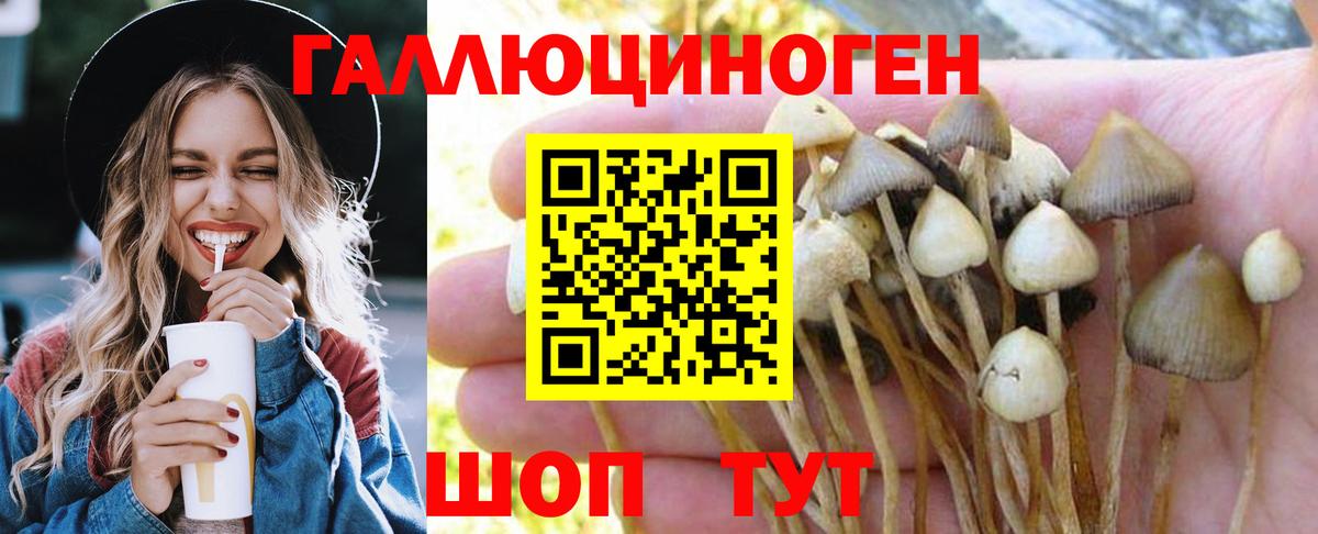 Псилоцибиновые грибы мицелий Кандалакша